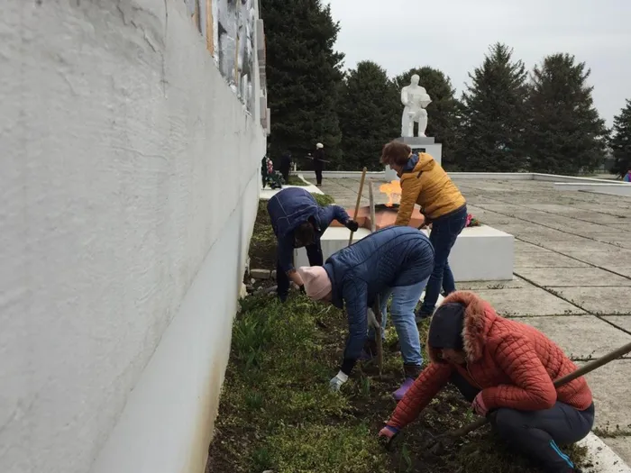 Жить в красивом  субботник  (3)
